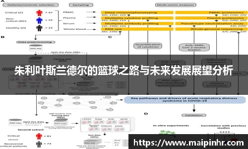 朱利叶斯兰德尔的篮球之路与未来发展展望分析